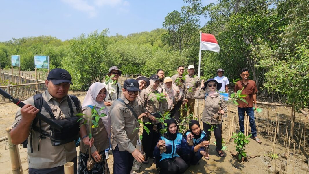 Jaga Ekosistem Pesisir, UBP Karawang Laksanakan Penanaman Mangrove Jaga Ekosistem Pesisir, UBP Karawang Laksanakan Penanaman Mangrove