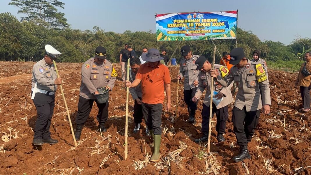 Dukung Swasembada Pangan Nasional, Kapolsek Kalijati Gelar Tanam Jagung Kuartal III di Dusun Boreas Dukung Swasembada Pangan Nasional, Kapolsek Kalijati Gelar Tanam Jagung Kuartal III di Dusun Boreas